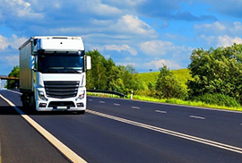 Таможенный перевозчик